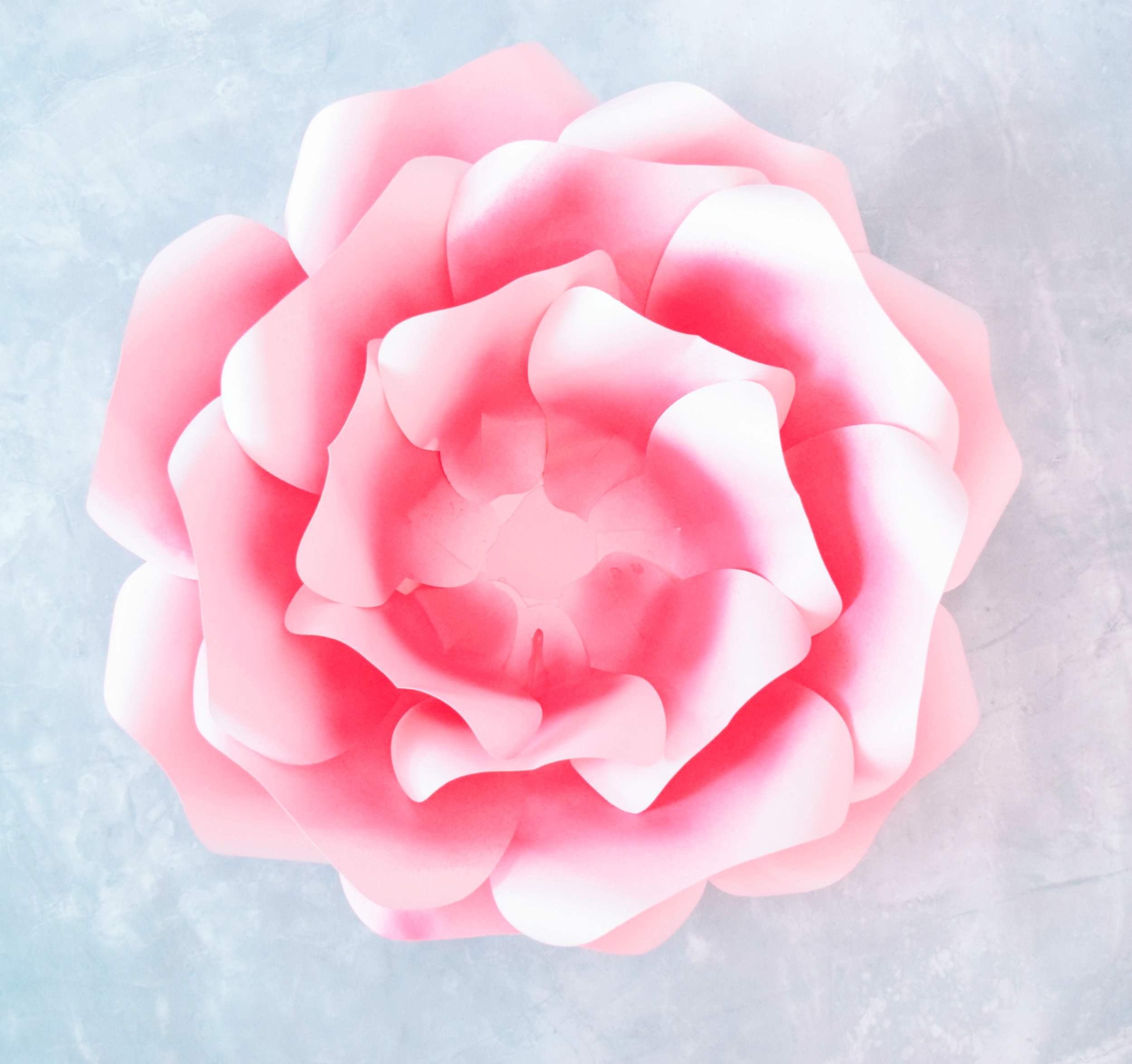 DIY Paper Flower Alora Garden Rose