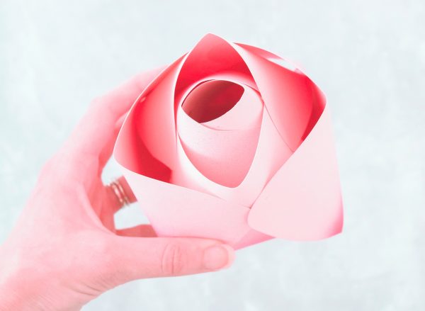 A giant pink Alora paper rose bud is held in Abbi’s hand.
