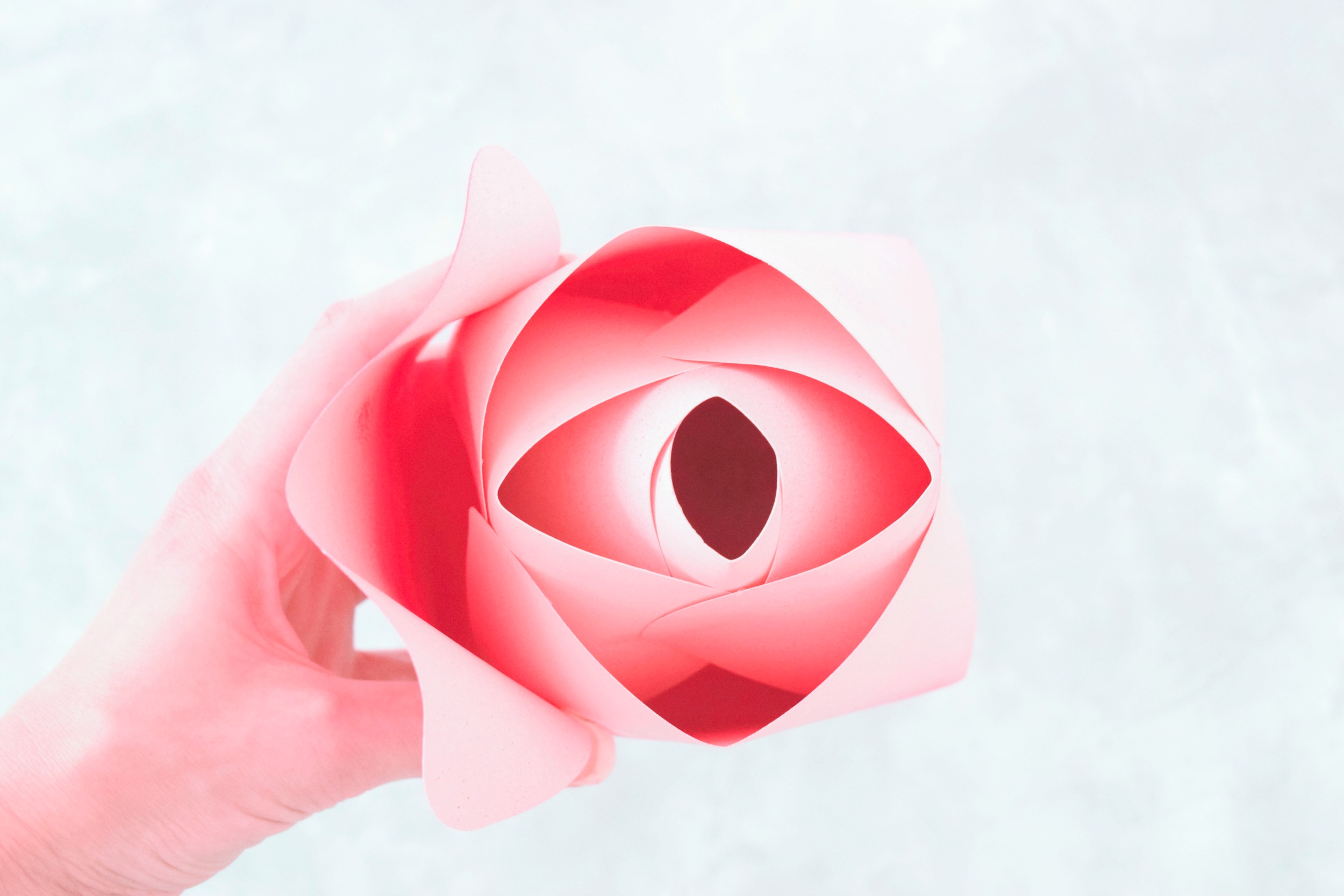 DIY Paper Flower Alora Garden Rose