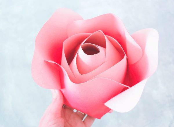 The giant Alora paper rose flower is bigger than Abbi’s hand. The additional outer petals add dimension and realism. 