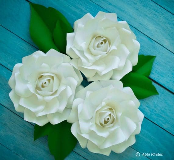 Three white small Alora garden paper roses are in the center of dark green leaves, placed on a blue wooden table. 