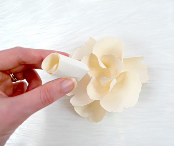 The center of the Bella Rose giant paper flower is made as Abbi Kirsten adds a petal layer rolled into a tight cylinder to the center of the three-pointed petals. 