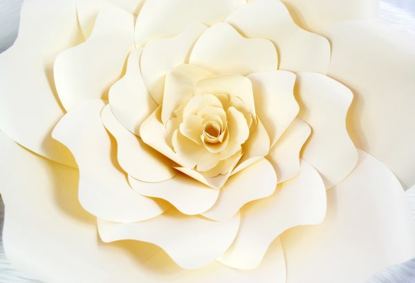The hypnotic, swirling center of the giant paper Bella Rose white flower. 