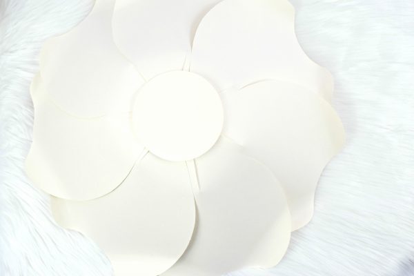 Large paper petals arranged in a circle form the bottom layer of a paper Bella Rose. 
