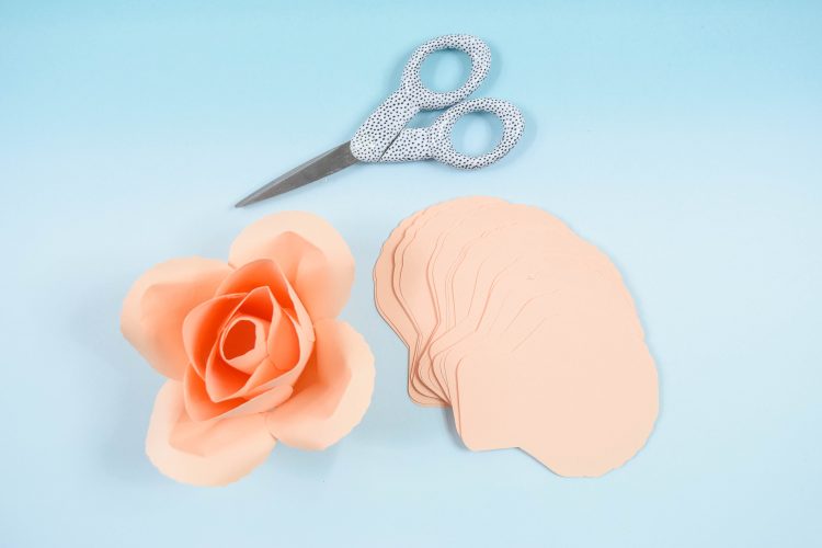 Scissors, peach paper petals, and a small peach rosebud lay on a light blue backdrop.