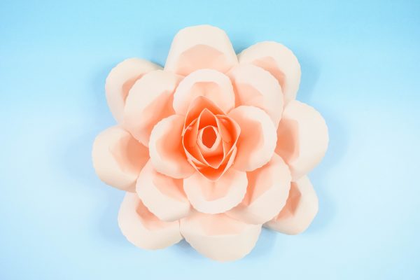 A finished DIY paper rose serena flower in peach cardstock sits open and gracefully on a light blue background. 