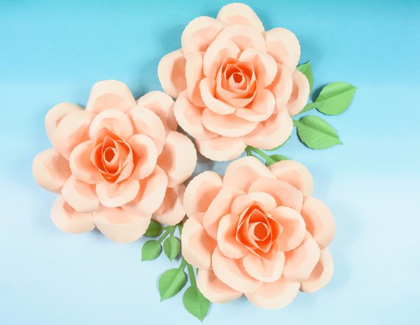 On a gradient light blue background, paper serena roses in pink are photographed from above. 