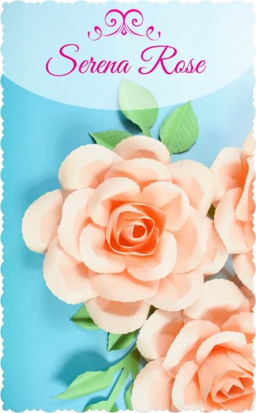 Pink text that says "Serena rose" in a script font sits above a close-up of peach serena rose paper flowers complete with green leaves. 