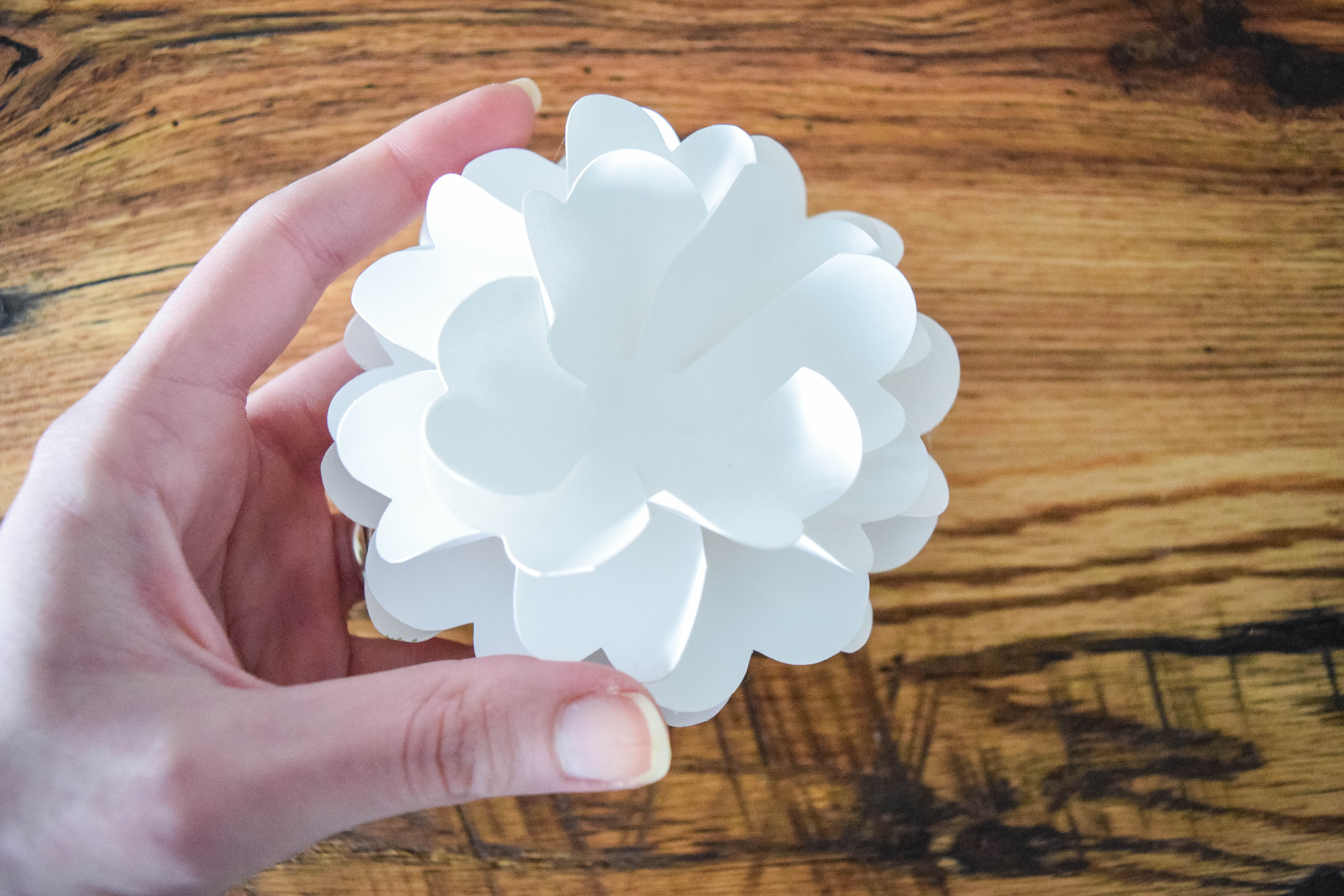 Abbi holds an almost-completed white pomander paper flower in her hands, the various layers fluttering outward.