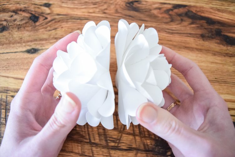 Abbi holds the two white paper pomander flowers back to back to create the sides of a paper flower ball.