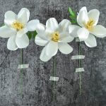 Southern Magnolia Paper Flower Template - Step by Step DIY Tutorial