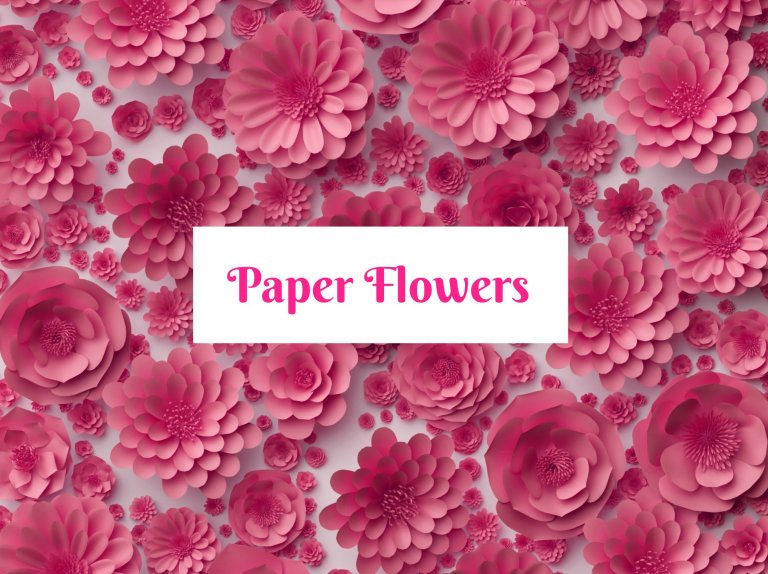 Paper Flower Template Collection and Products