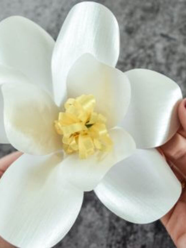 How to Make Southern-Style Paper Magnolia Story