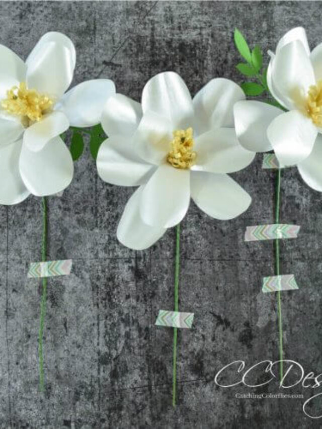 Southern Magnolia Step by Step DIY Tutorial Story