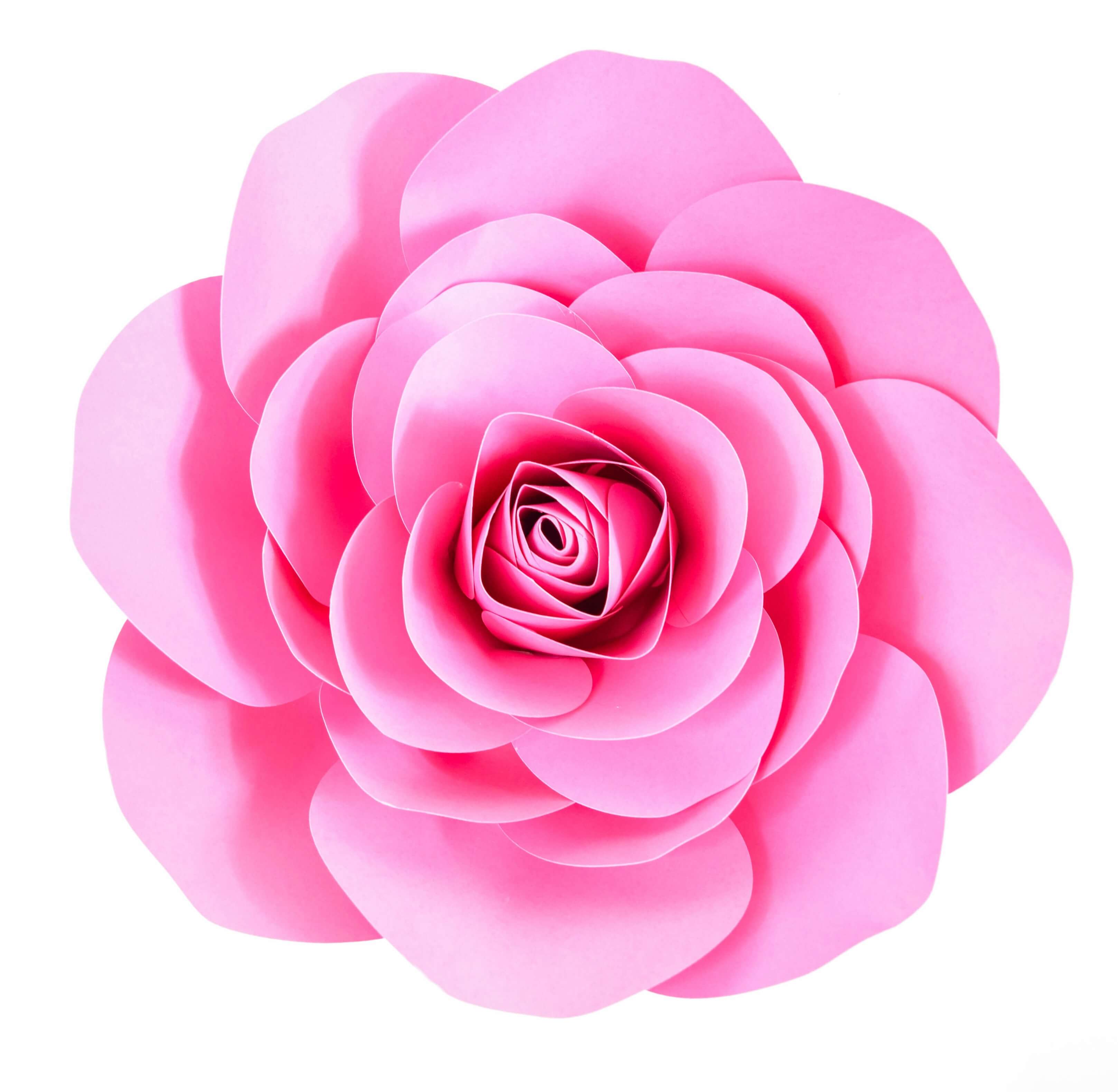 Free Large Paper Rose Template: DIY Camellia Rose Tutorial