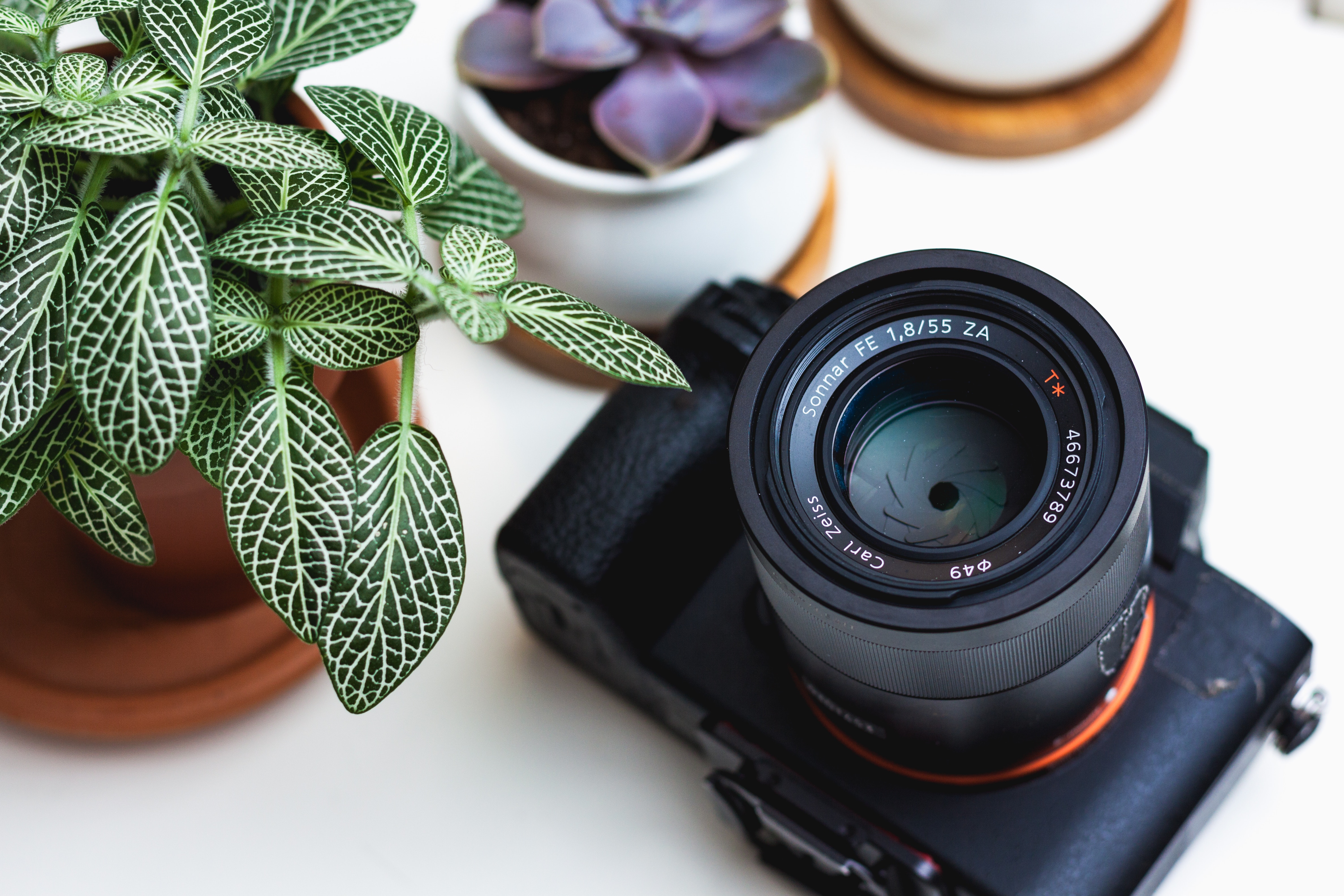 Product Photography Tips and Tricks: 9 Photo Tips You Must Do