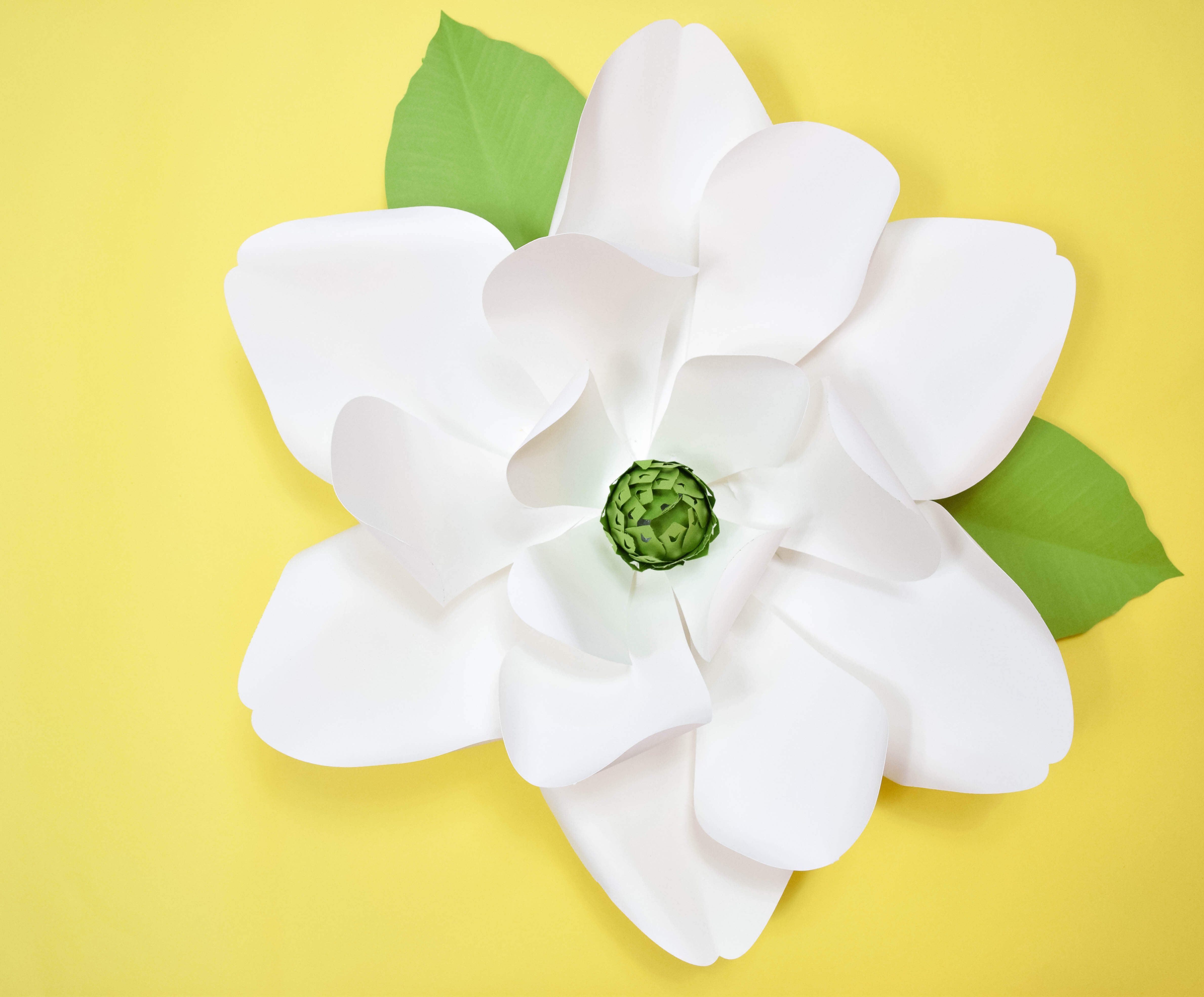 DIY Giant Paper Magnolia Tutorial