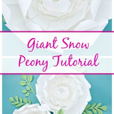 DIY Giant Snow Peony Paper Flower Tutorial