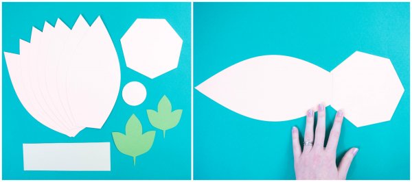 Two images showing templates cut out for a large paper pumpkin. 