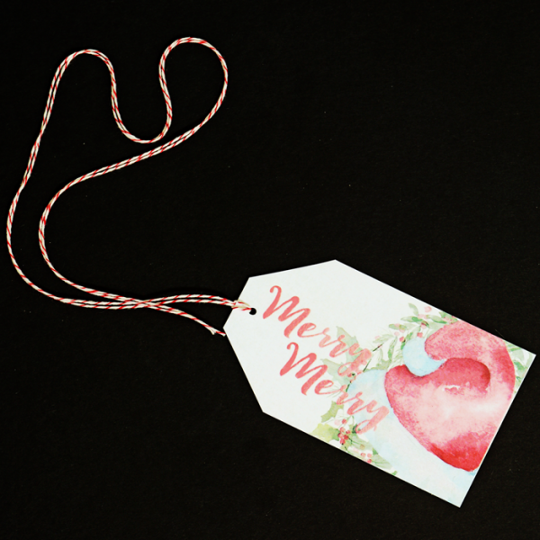 A white gift tag with a twine loop on a black background. The words "Merry Merry" in red watercolor-like lettering and a watercolor Santa hat decorates the front of the tag. 