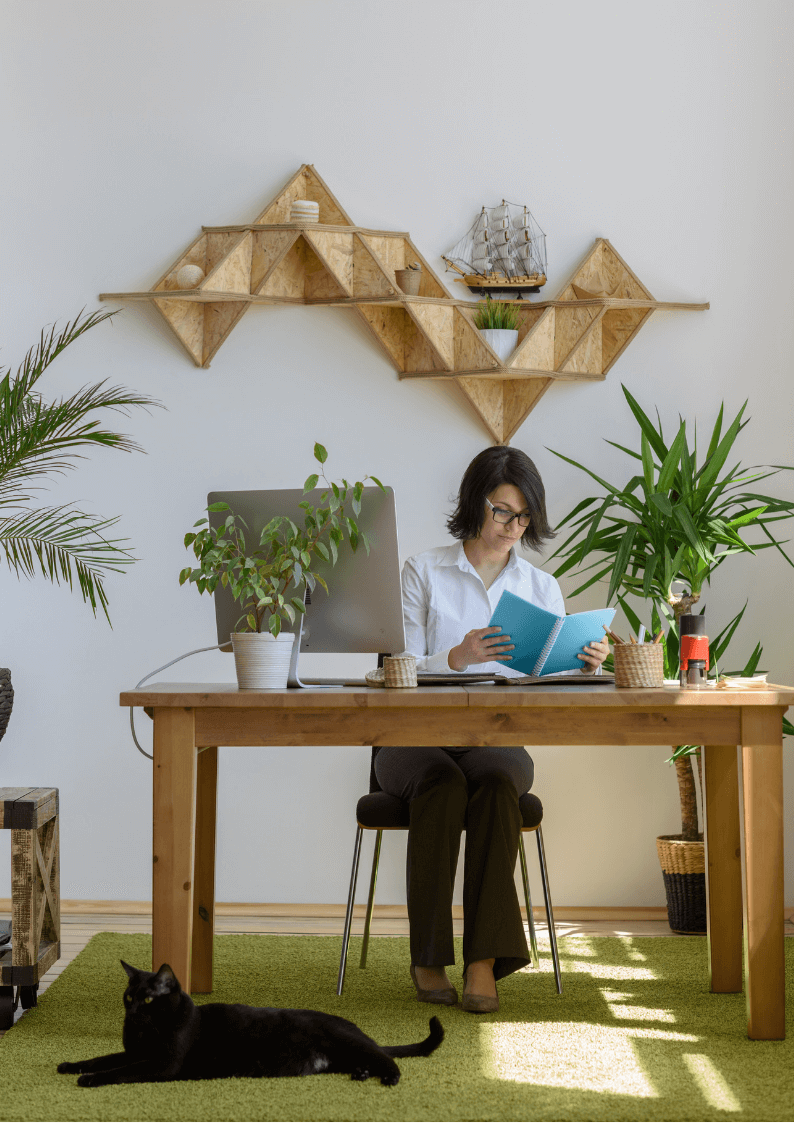 A woman with brown hair wearing glasses sitting at a wooden computer desk reading a light blue binder. She is surrounded by green plants. There is a black cat laying on a green carpet in the foreground.