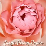 Large Paper Peonies DIY Tutorial