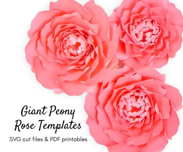 Overhead view of three orange paper peonies in a bundle. The text below says "Giant Peony Rose Templates SVG cut files and PDF printables."