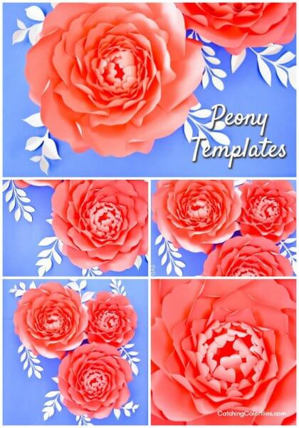 Text reads "Peony templates" on a multi-picture graphic of overheads views of finished large orange paper peonies. 