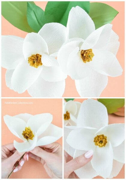 A trio of images displaying various steps of a white Crepe Paper Magnolia Flower creation. 