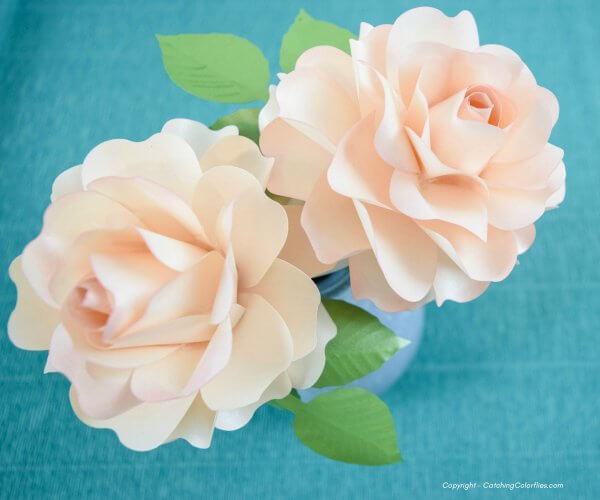 A pair of cream colored paper Annabelle roses with green leaves, against a bright blue background.