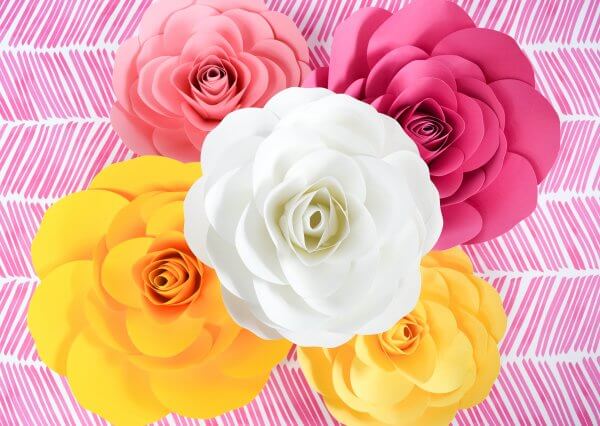 Five Cami paper flower roses are viewed from above on a pink hashmarked background. 