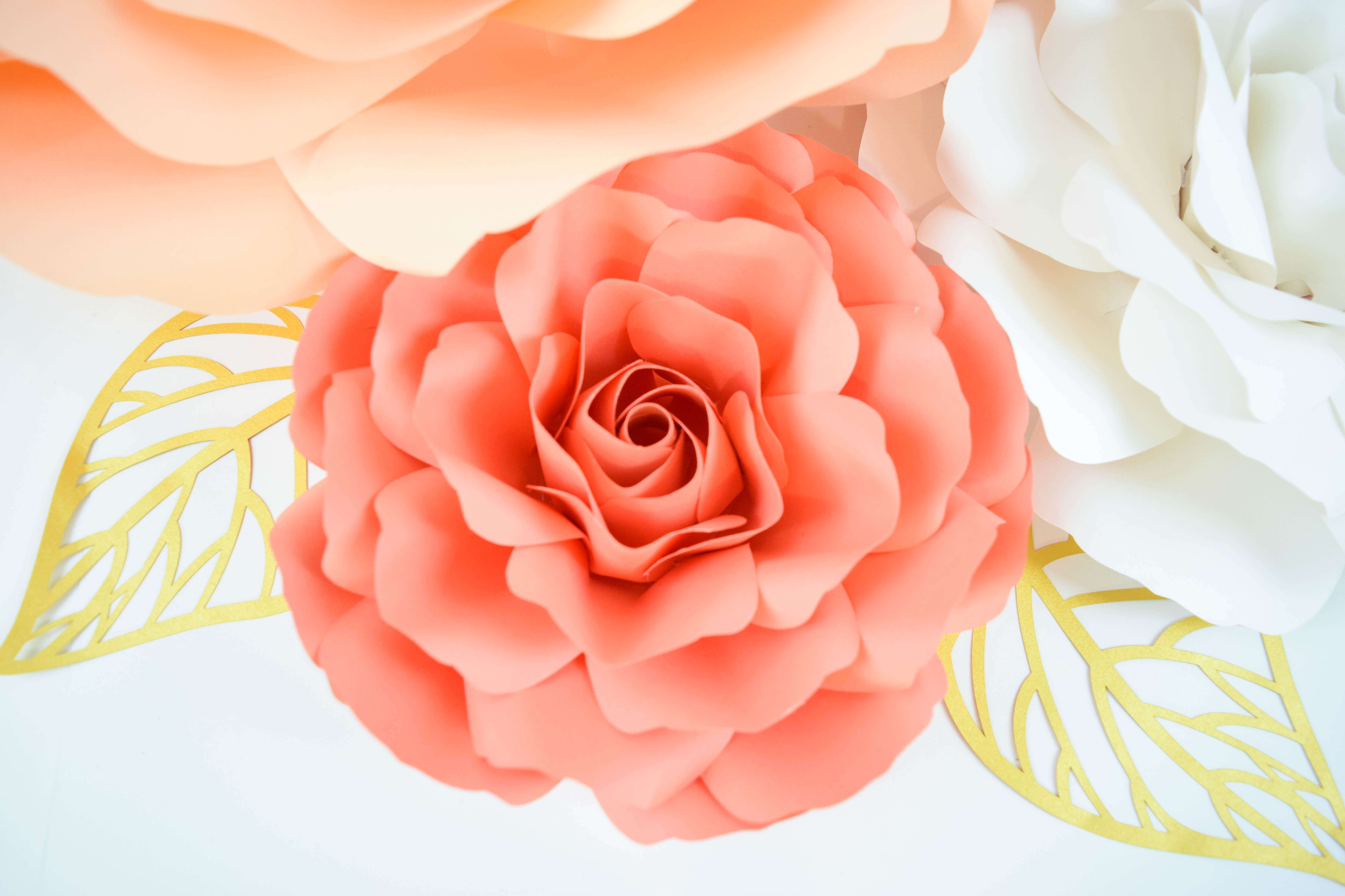 Giant Spiral Paper Rose Tutorial: Step by Step Instructions & Templates