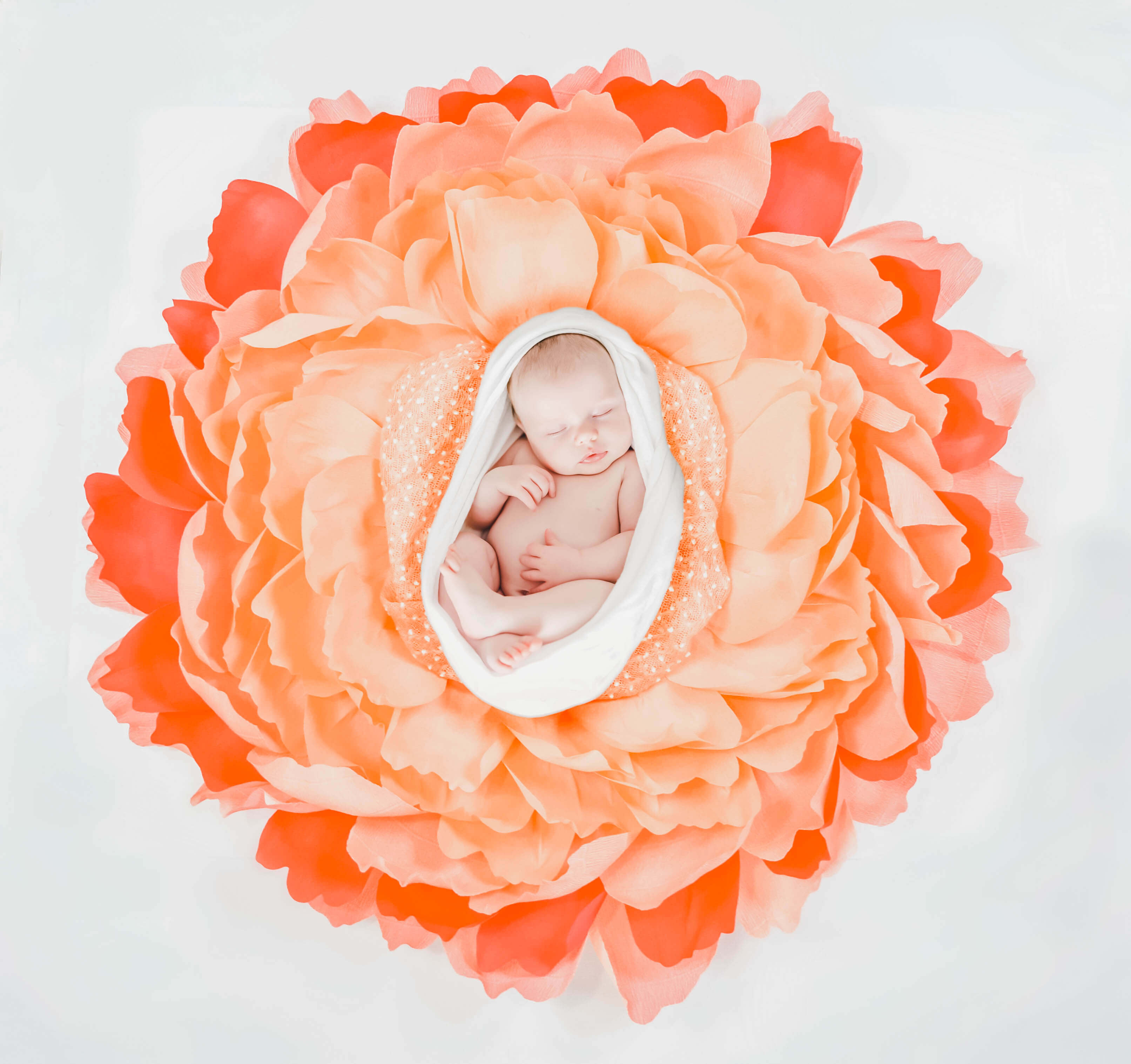 Giant Crepe Paper Flower Newborn Nest