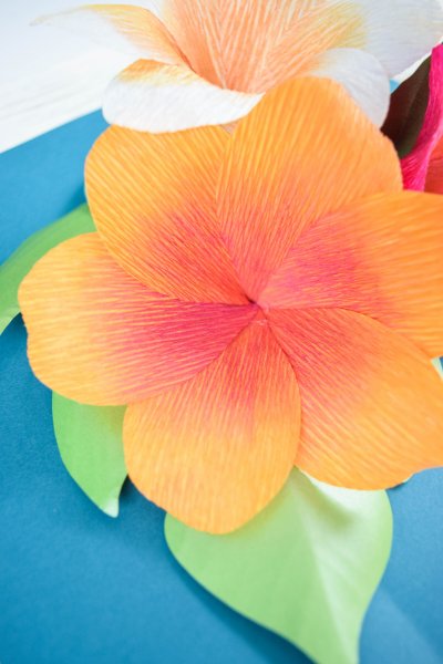 The orange, shaded crepe paper plumeria flower sits on a bed of green leaves and a blue tabletop. You can make these papercrafts with a Cricut machine or hand-cut using the free templates included!