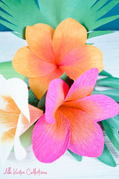 A portrait of a bouquet of panpastel-colored plumeria crepe paper flowers with paper green leaves. In the lower left-hand corner in pink text is "Abbi Kirsten Collections."