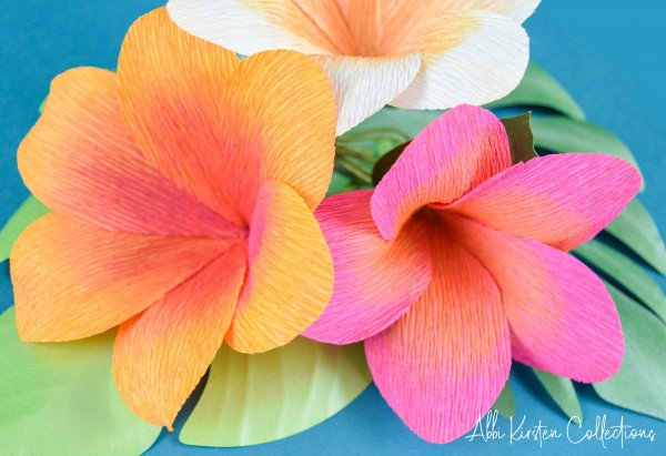 A gorgeous close-up of orange, white and pink crepe paper plumerias with green leaves on a true-blue background. White text in the corner says "Abbi Kirsten Collections." Learn how to make these tropical plumeria Hawaiian paper flowers. You can hand cut these with the free PDF template or use the SVG cut files with your Cricut machine!