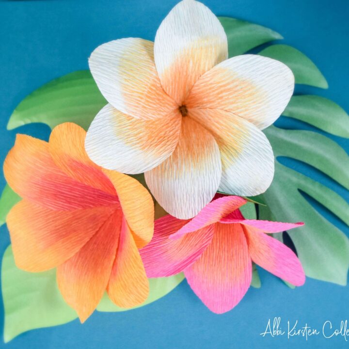 plumeria paper flower templates