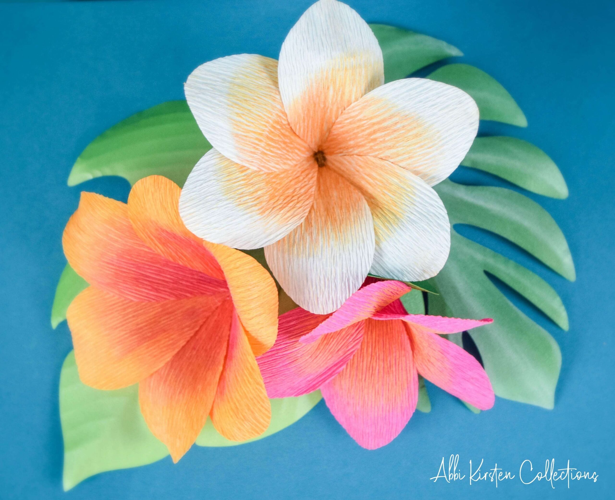 Blooming plumeria flowers and green paper leaves sit on a blue background. The Plumeria is colorful and made with crepe paper for a more realistic look. 