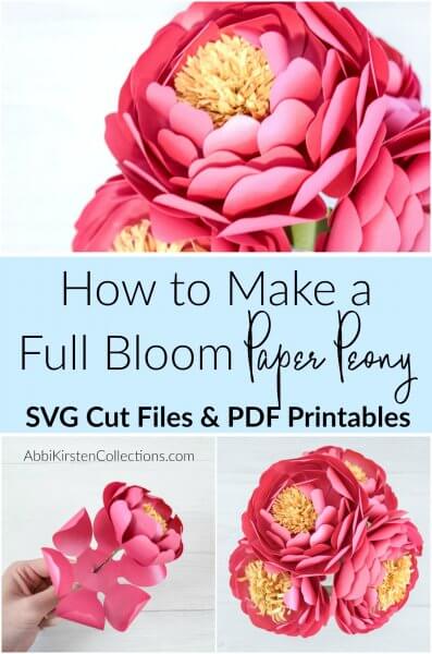 A graphic with giant paper pink peonies and one deconstructed peony. The black text on a blue background says "How To Make A Full Blook Paper Peony SVG Cut Files and PDF Printables."