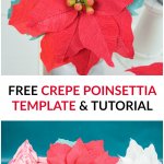 Crepe Paper Poinsettia Flower Tutorial: Create Christmas and Holiday decor with this free poinsettia template and step by step tutorial.