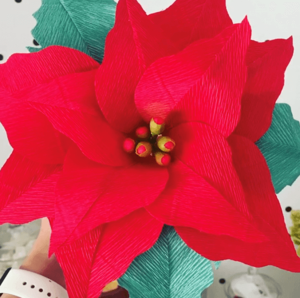 You can make these giant red crepe paper poinsettias using special materials for the center and green crepe paper leaves. 