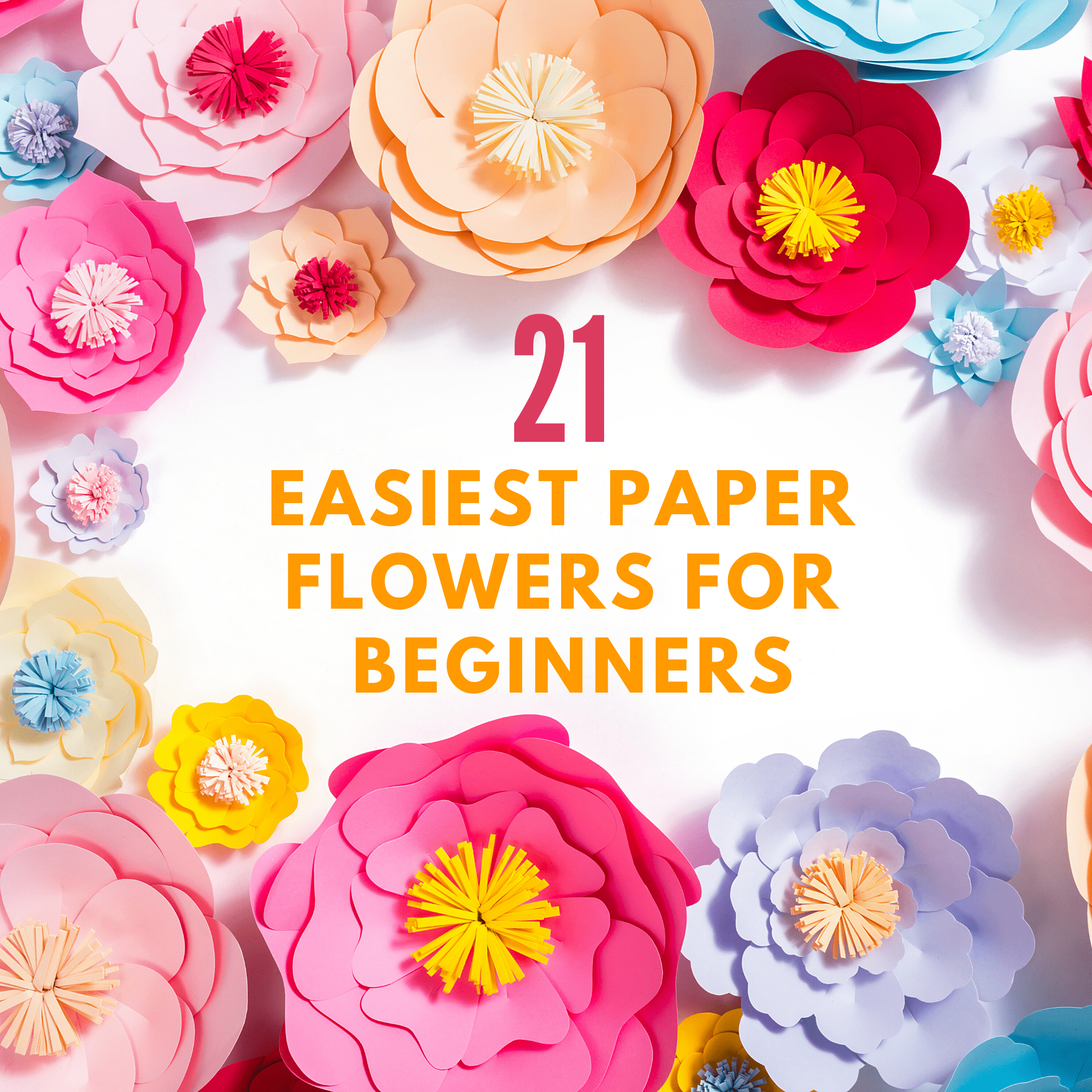 Paper flower store designs