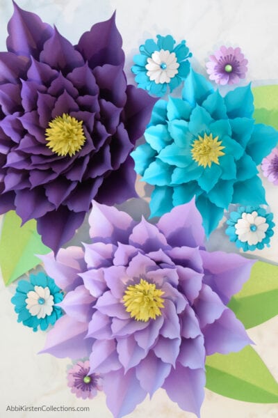 An overhead closeup photo of paper amaryllis blooms in deep purple, lavender and turquoise blue. The flowers have green leaves and are adorned with smaller flowers.