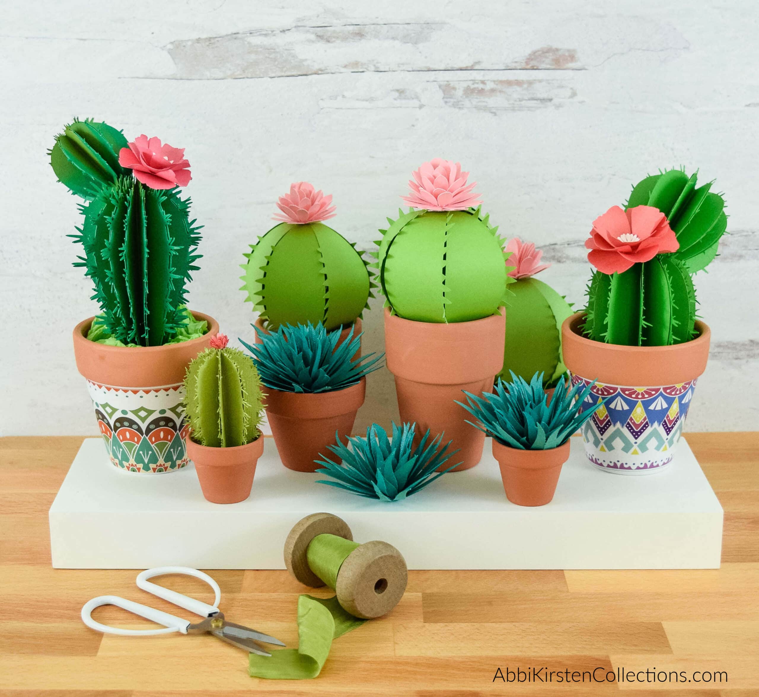 DIY Paper Cactus Kit, Set of 3 – Pretty Papel