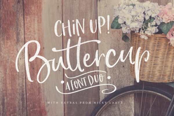 A close-up of a bike wheel with a basket of flowers against a weathered wooden wall. "Chin up! Buttercup a font duo" are written across the picture, a casual font used with Cricut machines. 