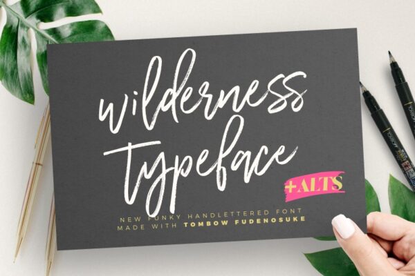 A woman's hand hold a black rectangle of cardstock paper. On the paper are the words "Wilderness Typeface" in white. Another funky hand-lettered font that you can use with your Cricut crafting projects. 