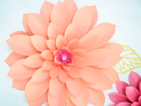A gorgeous and full giant paper dahlia flower made with rolled paper and a fun poppy center!
