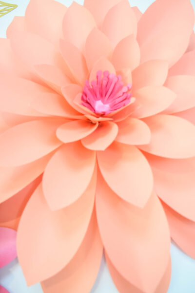 A giant Emma style paper dahlia flower made with orange flower petals and a pink poppy center.