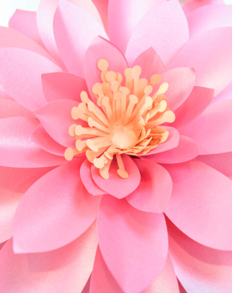 A gorgeous pink paper dahlia flower with an orange poppy center. 