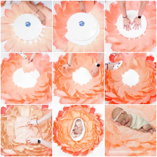 A nine-paneled graphic showing the steps needed to create a newborn nest using crepe paper and Abbi Kirsten's free template. Beginning with a foam circle, each picture shows the addition of crepe paper petal layers, and the final two photos show our sleeping newborn nestled in this giant fantastical flowers 